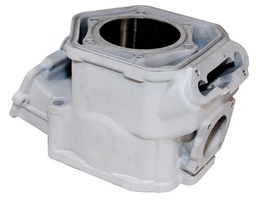[420623262e] Replacage de cylindre motoneige - BRP - 600
HO
ETEC - Cylinder / Cylindre Ski-Doo BRP 2009-2019 600 H.O. E-TEC MXZ X RS Renegade GSX / 420623262 - 09-19