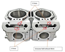 [420413041] 420413041  BRP - 800 ETEC + PTEK - Cylinder replating / Cylindre replaquer Ski-Doo 420413041